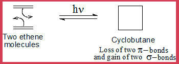 two ethene molecules add on giving cyclobutane