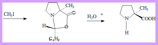 alkylation of amino acid