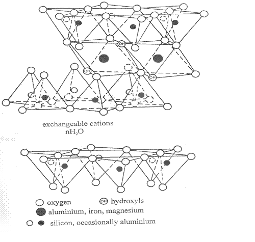 Structure of clay